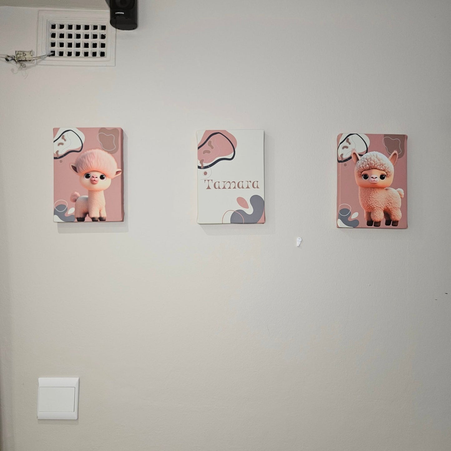 Funky Boho Llama canvas Set