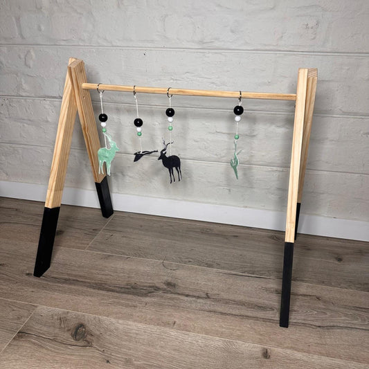 Mint and Black Kudu Play Gym