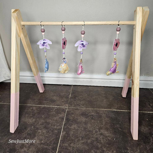 Disney princess Play Gym